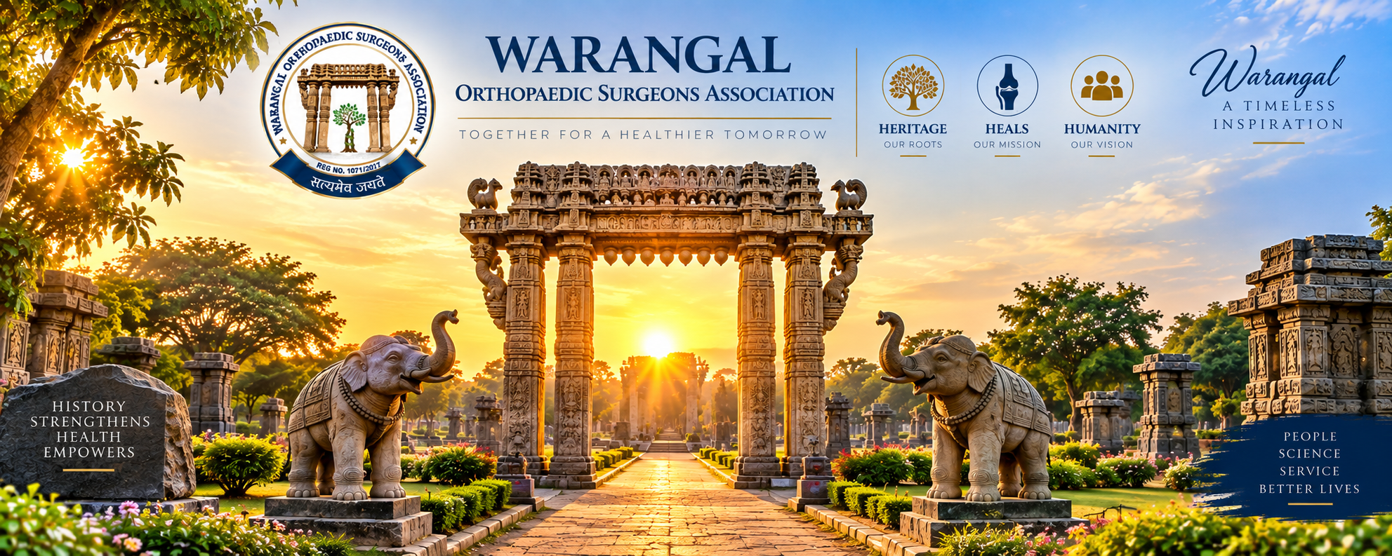 WOSA Surgeons Network & Service