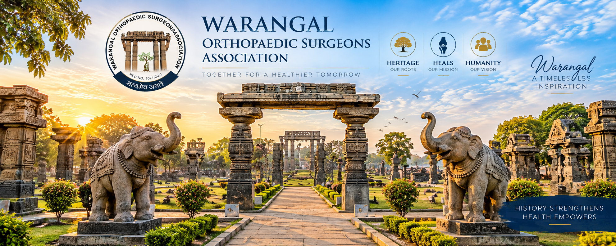 Orthopaedic Healthcare & Precision